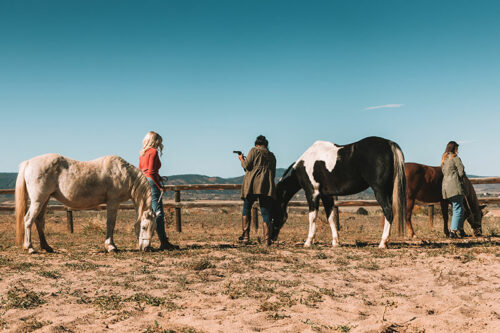 Girls with Horses