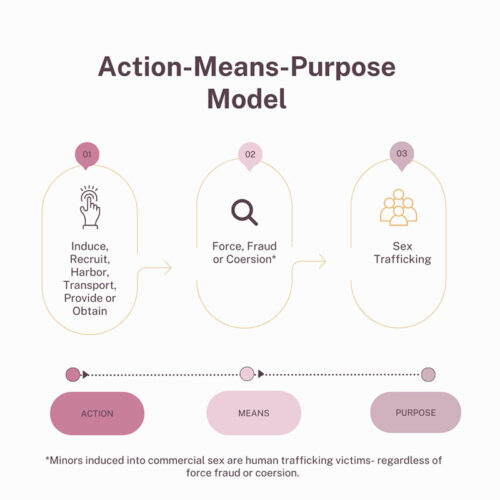Action-Means-Purpose (AMP) Model