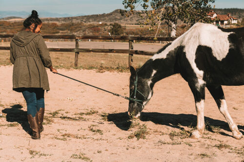 Girl with Horse